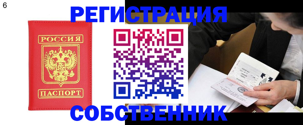 временная регистрация поиск в Моршанске
